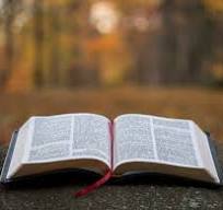 Weekly Bible Studies