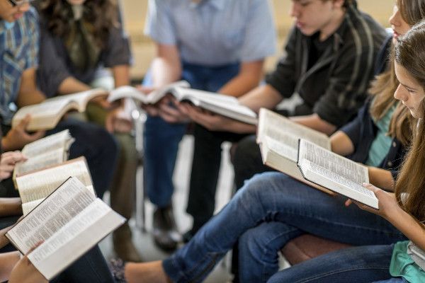 Weekly Bible Studies